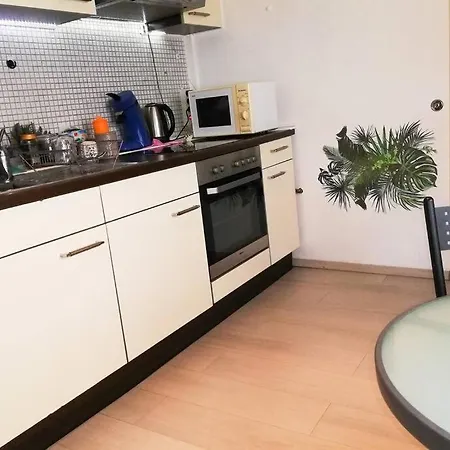 Apartment Vacation In The Black Forest